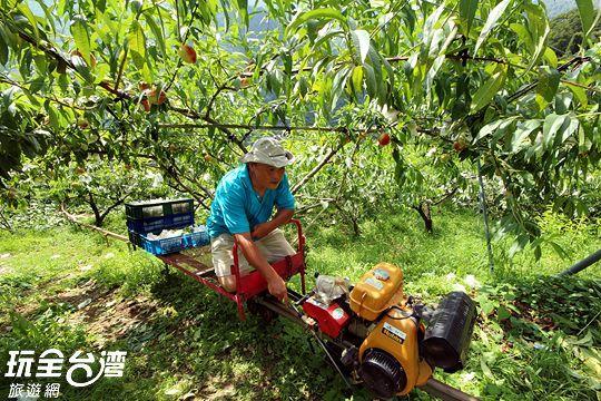 Da Kuan Peach Farm Resort Hualing Buitenkant foto